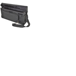 Shallow 19" Padded Rack Bag 2U