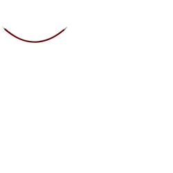 Red Barrier Rope - Chrome Fixings