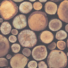 Stacked Chopped Logs Wallpaper Windsor Wallcoverings 263212