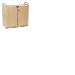 Lockable Cupboard with Display/Mirror Back