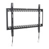 Genee Wall Mount Bracket
