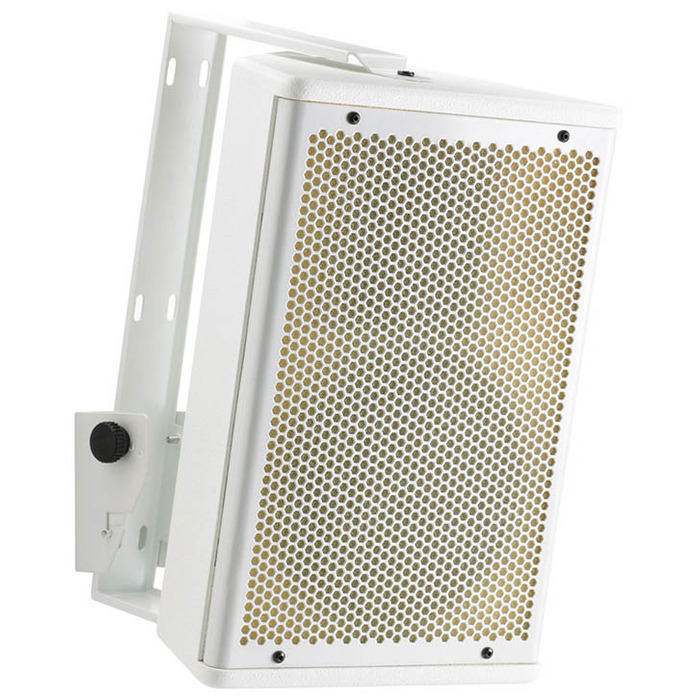 Passive Speaker Cabinet - 10" White 250W