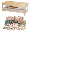 Investigative Play Table