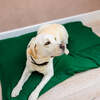 Dog Bed Duvet & Dog Bed Duvet Cover Med