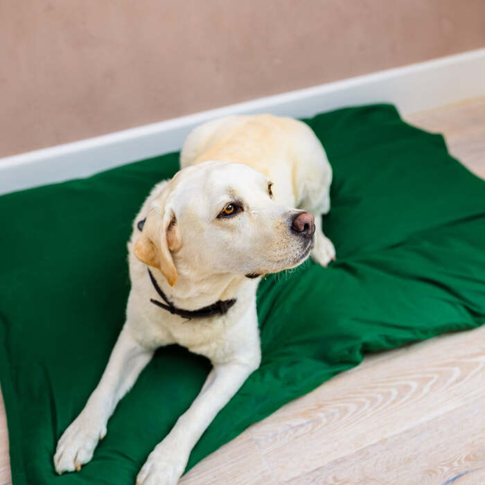Dog Bed Duvet & Dog Bed Duvet Cover Med - Lge Polycotton Green - Medium to Large