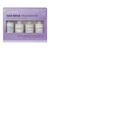 Olaplex Hair Repair Treatment Kit
