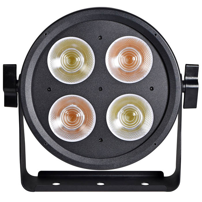 LED Par Can Stage Light with both Cool and Warm White LEDs 200W