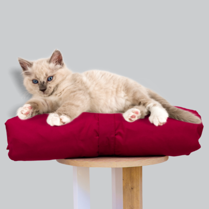 Cat Bed Mattress & Burgundy Cover