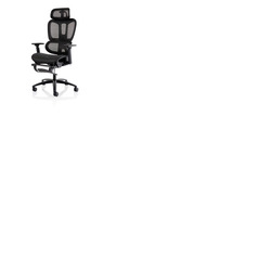 Horizon Executive Mesh Back Chair