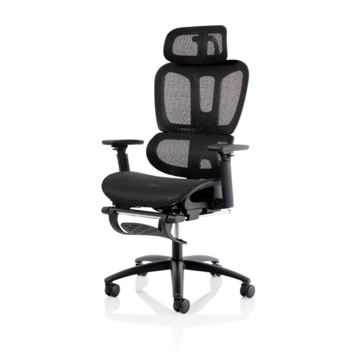 Horizon Executive Mesh Back Chair