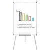 Economy Flipchart Whiteboard Easel