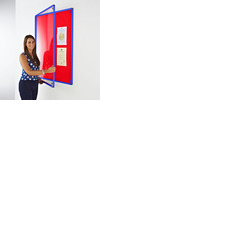Coloured Frame Tamperproof Noticeboard