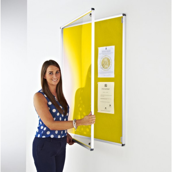 Coloured Frame Tamperproof Noticeboard