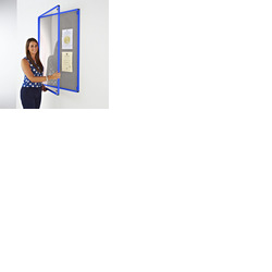 Coloured Frame Tamperproof Noticeboard