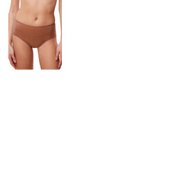 Triumph Signature Sheer Maxi Brief