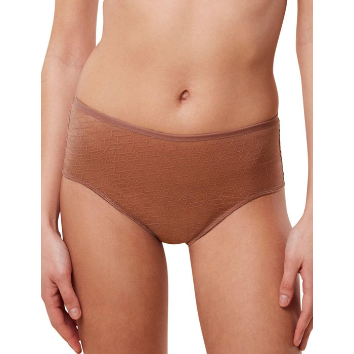 Triumph Signature Sheer Maxi Brief