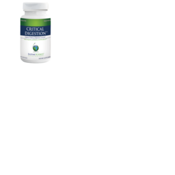 Enzyme Science - Critical Digestion, 90 Capsules