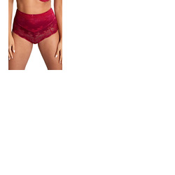 Panache Clara High Waist Brief
