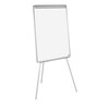 Bi-Office Earth Flipchart Easel