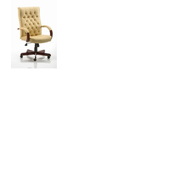 Chesterfield Traditional Leather Armchair Cream