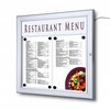 Outdoor Lockable Menu Case