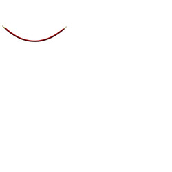 Red Barrier Rope - Gold Fixings