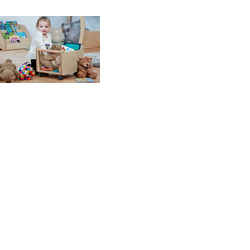 Mini Storage Trug