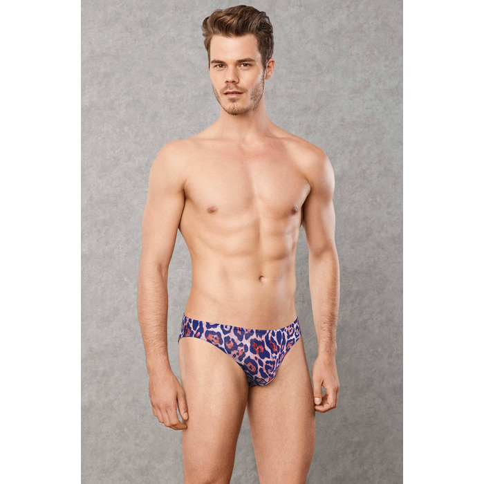 Doreanse 1266 Brief