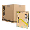 Head Team Tennis Balls - 6 Dozen