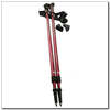 Nils Extreme NW802 Nordic Walking Poles