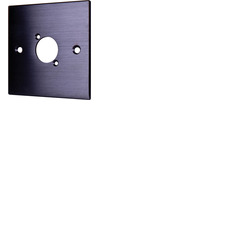 Black Wall Plate With D-Series Hole - 1 Gang