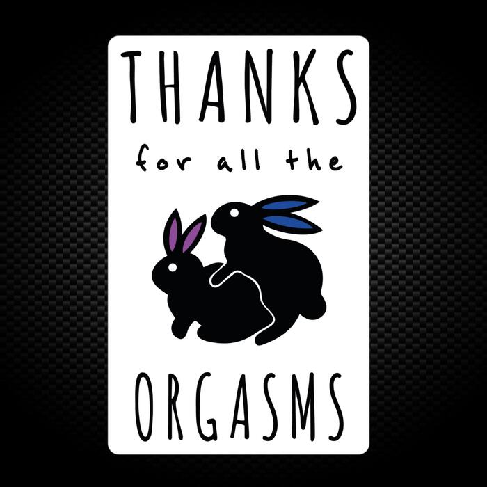 Thanks For All The Orgasms Vinyl Sticker
