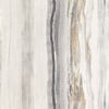 Harlequin Vitruvius Wallpaper Cement / Slate EVIW112064