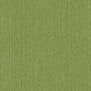 Into The Wild Bamboo Wallpaper Green Galerie 18575