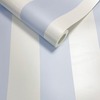 Sassy B Stripe Tease Wallpaper Blue Muriva 187543