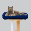 Cat Bed Mattress & Navy Cover