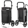 Dutch Allround Cruiser Shopping Trolley