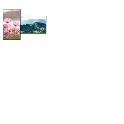 CM Pro Non-touch Commercial Displays