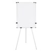 Earth Kyoto Tripod Magnetic Easel