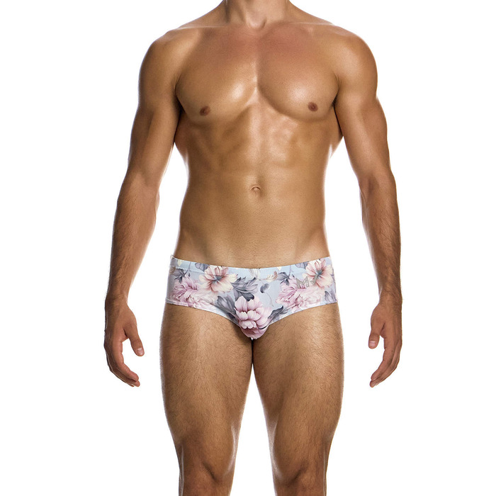 Modus Vivendi Romance Brief