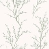 Laura Ashley Pussy Willow Wallpaper Sage Green / Cream 130115