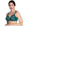 Lise Charmel Sublime En Dentelle 3 Part Full Cup Bra