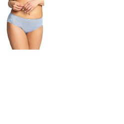 Panache Envy Lace Brief