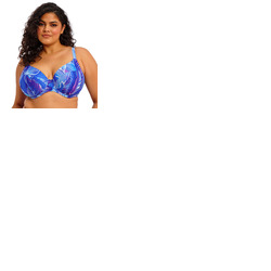 Elomi Maluku Island Plunge Bikini Top