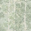 Silverwood Tree Wallpaper Green Rasch 100203