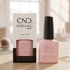 CND Shellac Gel Polish Clearly Pink