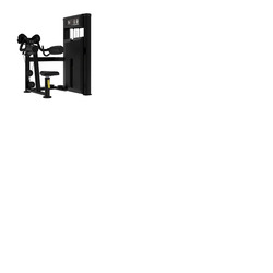 Platinum Series, Lateral Raise