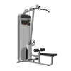 Dual Series, Lat Pulldown Low Row