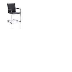 Echo II Visitor Chair