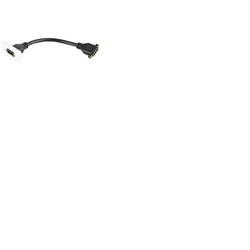 DisplayPort Socket to Female Tail Wall Plate Module